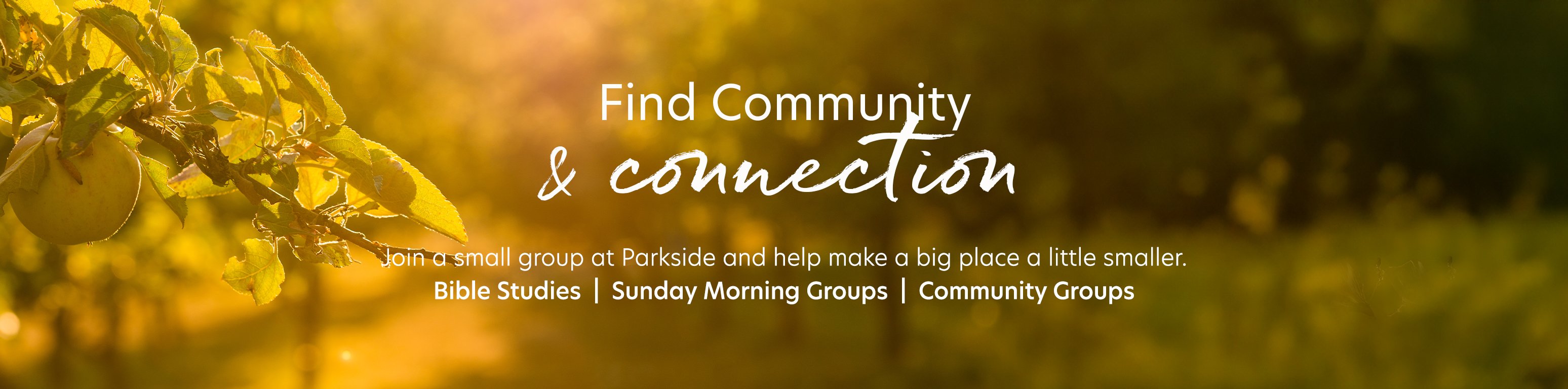 Connect 2025_Header.jpg